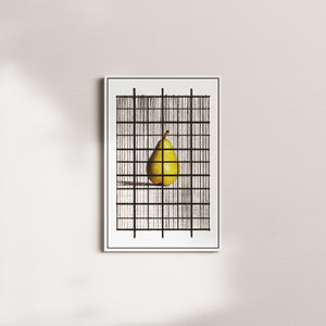 wirebound pome — white frame